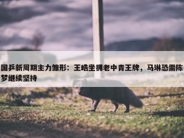 国乒新周期主力雏形：王皓坐拥老中青王牌，马琳恐需陈梦继续坚持