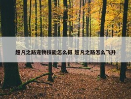 超凡之路宠物技能怎么得 超凡之路怎么飞升