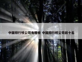 中国排行榜公司有哪些 中国排行榜公司前十名