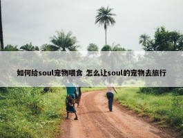 如何给soul宠物喂食 怎么让soul的宠物去旅行