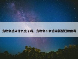 宠物会感染什么虫子吗，宠物会不会感染新型冠状病毒