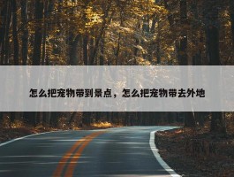 怎么把宠物带到景点，怎么把宠物带去外地