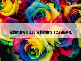 宠物绦虫吃什么药 宠物绦虫吃什么药能杀死