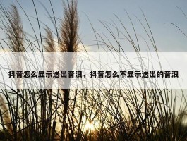 抖音怎么显示送出音浪，抖音怎么不显示送出的音浪