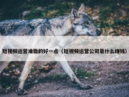 短视频运营谁做的好一点（短视频运营公司靠什么赚钱）