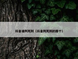 抖音谁判死刑（抖音判死刑的那个）