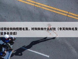 经常给狗狗梳理毛发，对狗狗有什么好处（冬天狗狗毛发留多长合适）