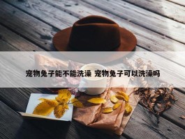 宠物兔子能不能洗澡 宠物兔子可以洗澡吗