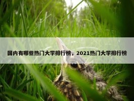 国内有哪些热门大学排行榜，2021热门大学排行榜