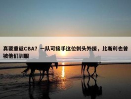 真要重返CBA？一队可接手这位刺头外援，比斯利也曾被他们驯服