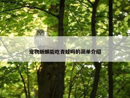 宠物蜥蜴能吃青蛙吗的简单介绍