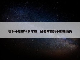 哪种小型宠物狗不臭，好养不臭的小型宠物狗