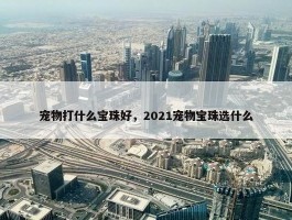 宠物打什么宝珠好，2021宠物宝珠选什么