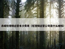 赤峰短视频运营多少费用（短视频运营公司靠什么赚钱）