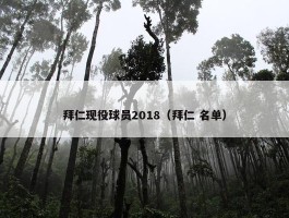 拜仁现役球员2018（拜仁 名单）