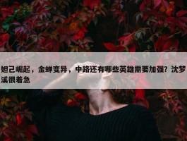 妲己崛起，金蝉变异，中路还有哪些英雄需要加强？沈梦溪很着急