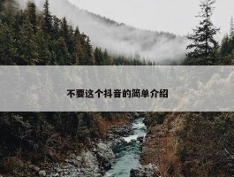 不要这个抖音的简单介绍