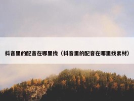 抖音里的配音在哪里找（抖音里的配音在哪里找素材）