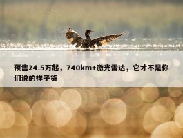 预售24.5万起，740km+激光雷达，它才不是你们说的样子货