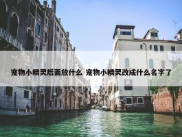 宠物小精灵后面放什么 宠物小精灵改成什么名字了