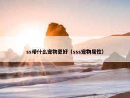 ss带什么宠物更好（sss宠物属性）