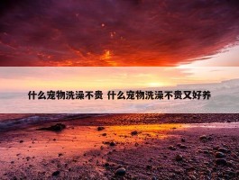 什么宠物洗澡不贵 什么宠物洗澡不贵又好养