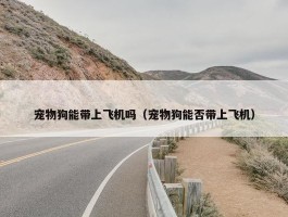 宠物狗能带上飞机吗（宠物狗能否带上飞机）