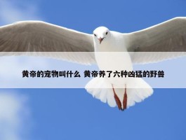 黄帝的宠物叫什么 黄帝养了六种凶猛的野兽