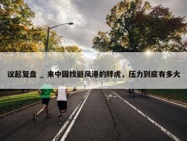 议起复盘 _ 来中国找避风港的胖虎，压力到底有多大