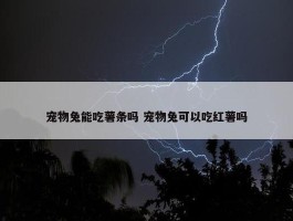 宠物兔能吃薯条吗 宠物兔可以吃红薯吗