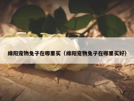 绵阳宠物兔子在哪里买（绵阳宠物兔子在哪里买好）