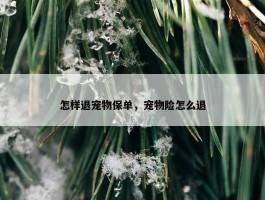 怎样退宠物保单，宠物险怎么退