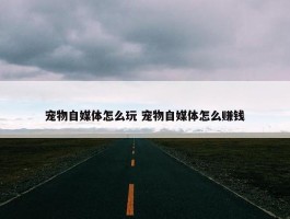 宠物自媒体怎么玩 宠物自媒体怎么赚钱