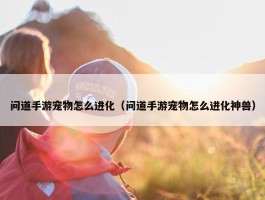 问道手游宠物怎么进化（问道手游宠物怎么进化神兽）