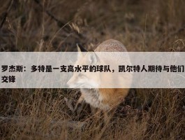 罗杰斯：多特是一支高水平的球队，凯尔特人期待与他们交锋