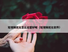 短视频优化怎么运营好呢（短视频优化软件）