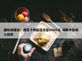 盛松成建议：提高个税起征点至8000元 调降中低收入税率