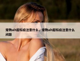 宠物alt超标应注意什么，宠物alt超标应注意什么问题