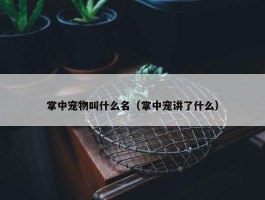 掌中宠物叫什么名（掌中宠讲了什么）