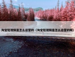 淘宝短视频是怎么运营的（淘宝短视频是怎么运营的呢）