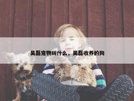 吴磊宠物叫什么，吴磊收养的狗