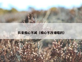 抖音痴心不减（痴心不改谁唱的）