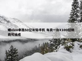 曝vivo拿出50亿补贴手机 每卖一台X100经销商可抽成