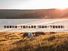 抖音里抖音一下是什么意思（抖音抖一下是啥意思）