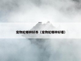 宠物蛇哪种好养（宠物蛇哪种好看）