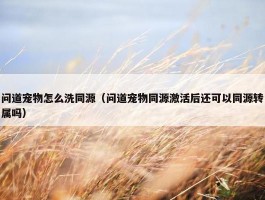 问道宠物怎么洗同源（问道宠物同源激活后还可以同源转属吗）