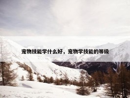 宠物技能学什么好，宠物学技能的等级