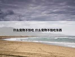 什么宠物不怕吃 什么宠物不怕吃东西