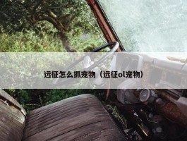 远征怎么抓宠物（远征ol宠物）