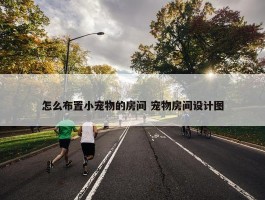 怎么布置小宠物的房间 宠物房间设计图